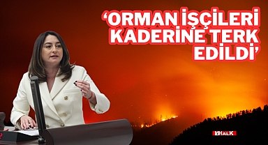 “Orman İşçileri Kaderine Terk Edildi”