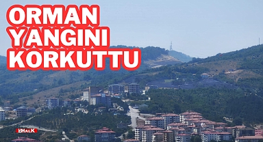 Orman Yangını Korkuttu