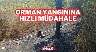 Orman Yangınına Hızlı Müdahale