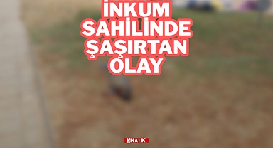 Sahilde Şaşırtan Olay