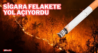 Sigara Felakete Yol Açıyordu