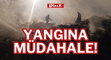 YANGINA MÜDAHALE!
