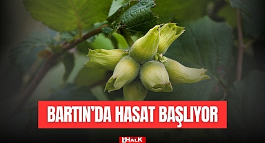 Bartın'da Hasat Başlıyor