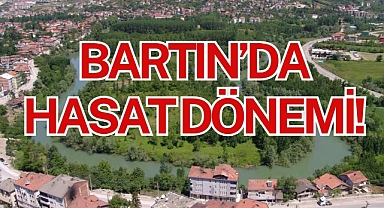 BARTIN’DA HASAT DÖNEMİ!