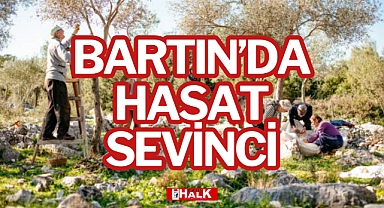 BARTIN’DA HASAT SEVİNCİ