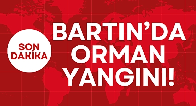 BARTIN'DA ORMAN YANGINI!