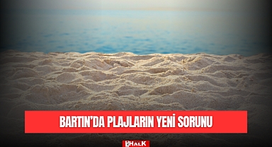 Bartın'da Plajların Yeni Sorunu