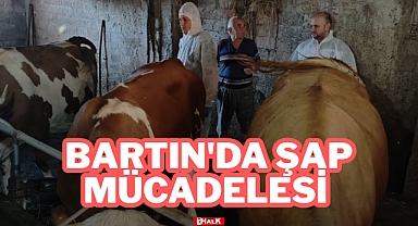 BARTIN'DA ŞAP MÜCADELESİ