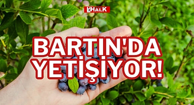 BARTIN'DA YETİŞİYOR!