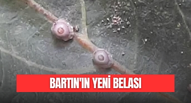 BARTIN'IN YENİ BELASI