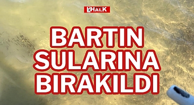 BARTIN SULARINA BIRAKILDI