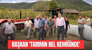 Başkan