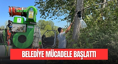 BELEDİYE MÜCADELE BAŞLATTI