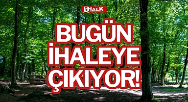 BUGÜN İHALEYE ÇIKIYOR!