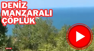 DENİZ MANZARALI ÇÖPLÜK