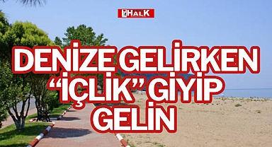 DENİZE GELİRKEN