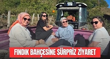 Fındık Bahçesine Sürpriz Ziyaret