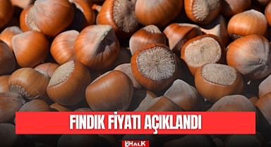 FINDIK FİYATI AÇIKLANDI