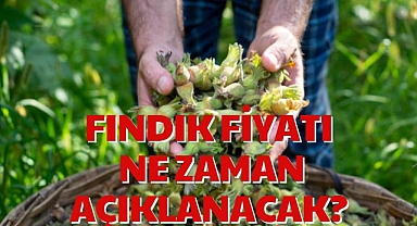 FINDIK FİYATI NE ZAMAN AÇIKLANACAK?