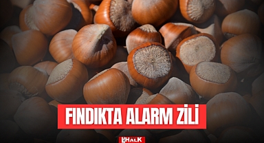 Fındıkta Alarm Zili