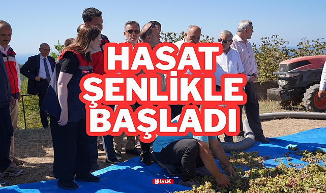 Hasat şenlikle Başladı