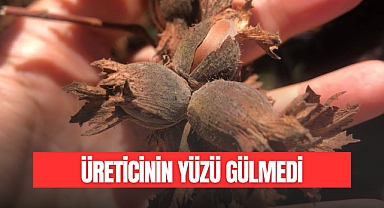 Hasat Yüz Güldürmedi