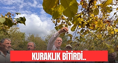 Kuraklık Bitirdi..