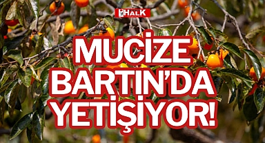 MUCİZE BARTIN’DA YETİŞİYOR!