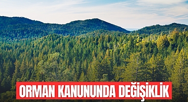 Orman Kanunu'nda Değişiklik