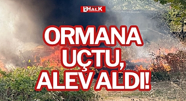 ORMANA UÇTU, ALEV ALDI!