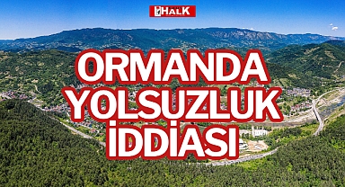 ORMANDA YOLSUZLUK İDDİASI
