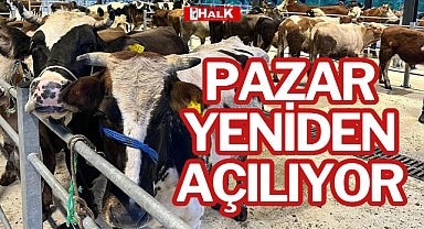 PAZAR YENİDEN AÇILIYOR