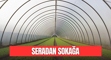 Seradan Sokağa