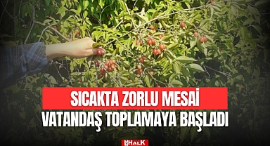 Sıcakta Zorlu Mesai