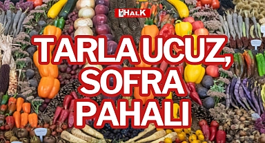 TARLA UCUZ, SOFRA PAHALI
