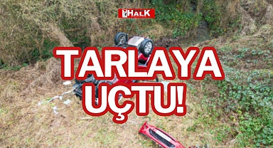 TARLAYA UÇTU!