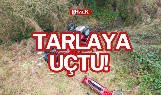 TARLAYA UÇTU!