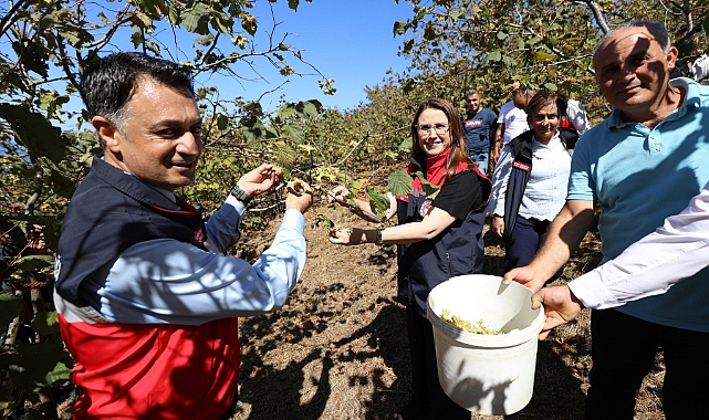 Vali Arslan, Fındık Hasat Şenliği’ne katıldı