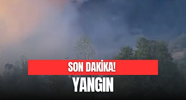 YANGIN!