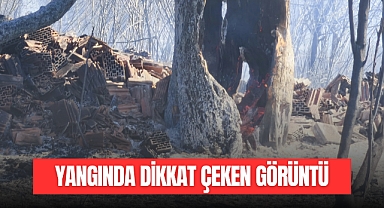 YANGINDA DİKKAT ÇEKEN GÖRÜNTÜ