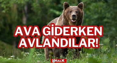 AVA GİDERKEN AVLANDILAR!