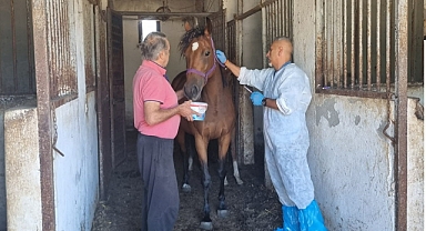 BARTIN’DA SAFKAN KISRAK