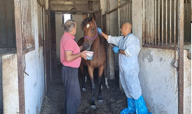 BARTIN’DA SAFKAN KISRAK