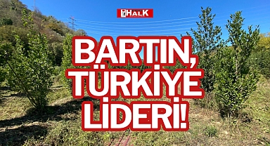 BARTIN, TÜRKİYE LİDERİ!