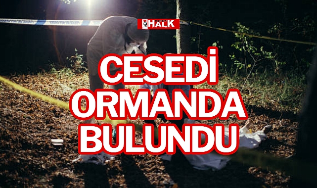 CESEDİ ORMANDA BULUNDU