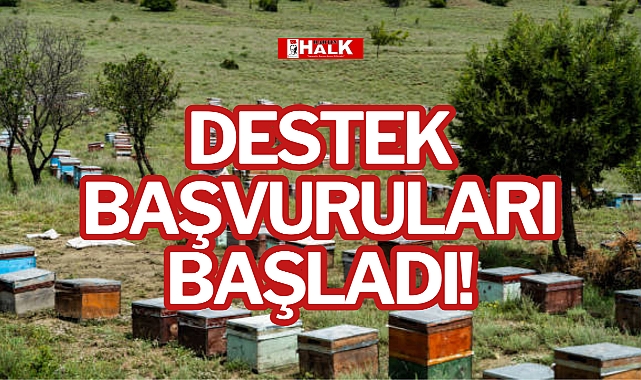 DESTEK BAŞVURULARI BAŞLADI!