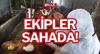 EKİPLER SAHADA!