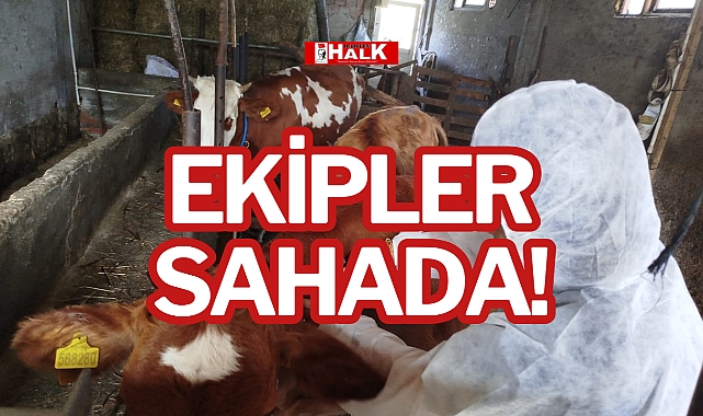EKİPLER SAHADA!
