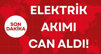 ELEKTRİK AKIMI CAN ALDI!
