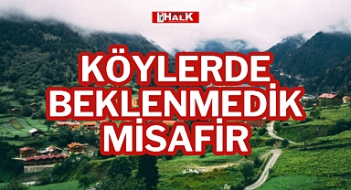 KÖYLERDE BEKLENMEDİK MİSAFİR